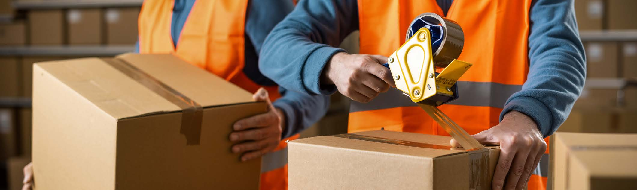 Embalaje profesional DHL